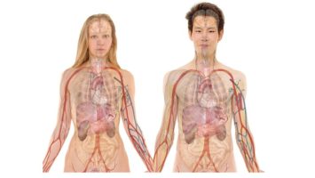 jak se dostat na medicinu anatomie