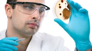 Co znamená titul RNDr doktor přírodních věd