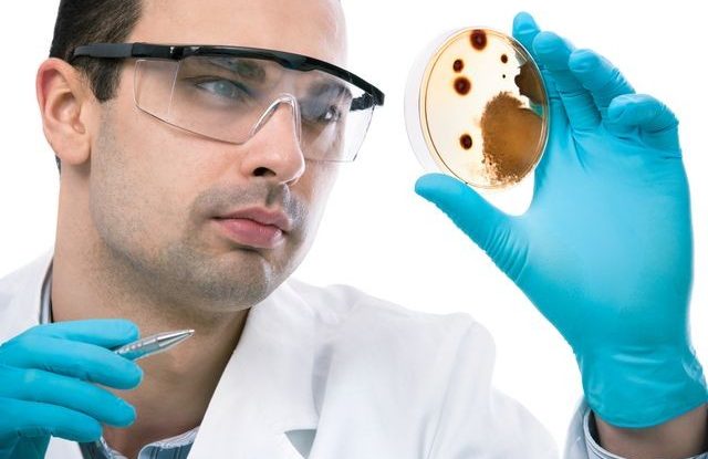 Co znamená titul RNDr doktor přírodních věd