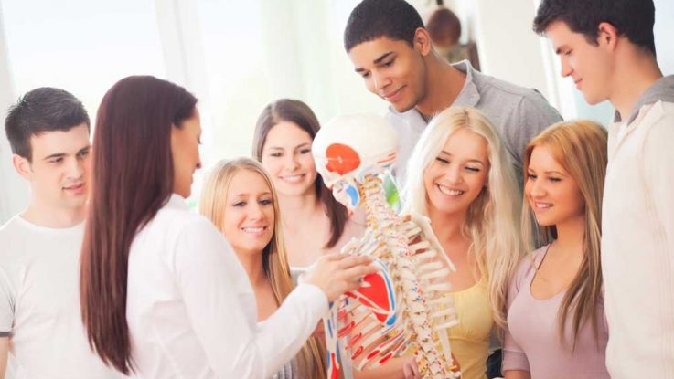 Jak se naučit anatomii