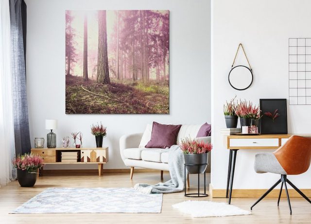 Obrazy lesa do obývacího pokoje