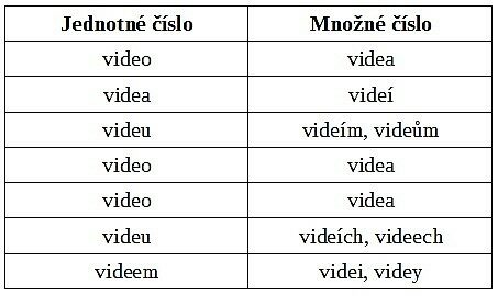 FOTO: Jak se skloňuje video