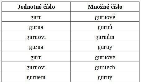 FOTO: Jak se skloňuje guru
