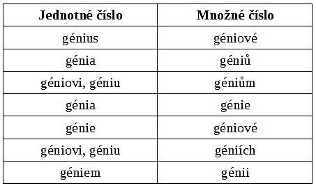 FOTO: Jak se skloňuje génius