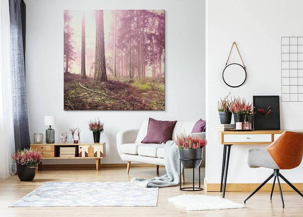 Obrazy lesa do obývacího pokoje