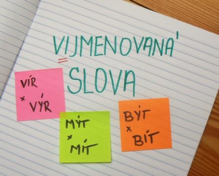 vyjmenovaná slova, Pravopis